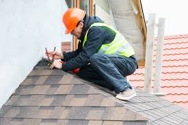 Best Roof Moss and Algae Removal  in Grant, NE